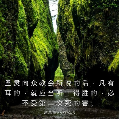 Picture 03 - 启 示 录 2:11 CUVS - 圣 灵 向 众 教 会 所 说 的 话 ， 凡 - Bible Verse Picture