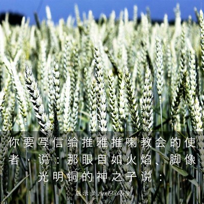 Picture 03 - 启 示 录 2:18 CUVS - 你 要 写 信 给 推 雅 推 喇 教 会 的 - Bible Verse Picture