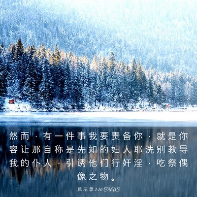 Picture 03 - 启 示 录 2:20 CUVS - 然 而 ， 有 一 件 事 我 要 责 备 你 - Bible Verse Picture