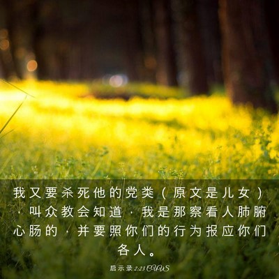 Picture 03 - 启 示 录 2:23 CUVS - 我 又 要 杀 死 他 的 党 类 （ 原 文 - Bible Verse Picture