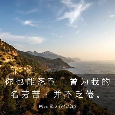 Picture 03 - 启 示 录 2:3 CUVS - 你 也 能 忍 耐 ， 曾 为 我 的 名 劳 - Bible Verse Picture