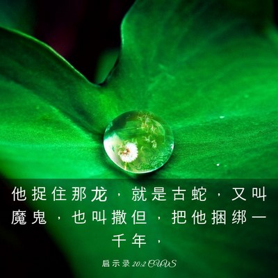 Picture 03 - 启 示 录 20:2 CUVS - 他 捉 住 那 龙 ， 就 是 古 蛇 ， 又 - Bible Verse Picture