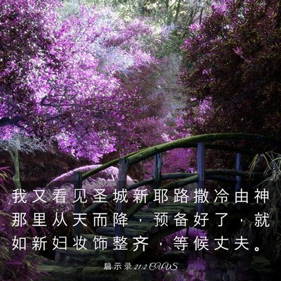 Picture 03 - 启 示 录 21:2 CUVS - 我 又 看 见 圣 城 新 耶 路 撒 冷 由 - Bible Verse Picture