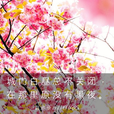 Picture 03 - 启 示 录 21:25 CUVS - 城 门 白 昼 总 不 关 闭 ， 在 那 里 - Bible Verse Picture
