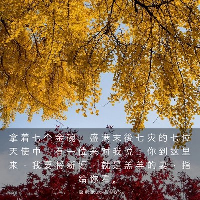 Picture 03 - 启 示 录 21:9 CUVS - 拿 着 七 个 金 碗 、 盛 满 末 後 七 - Bible Verse Picture