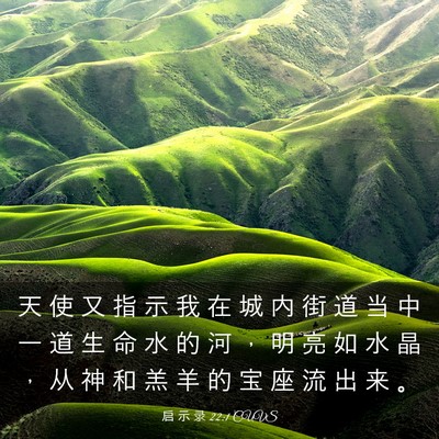 Picture 03 - 启 示 录 22:1 CUVS - 天 使 又 指 示 我 在 城 内 街 道 当 - Bible Verse Picture