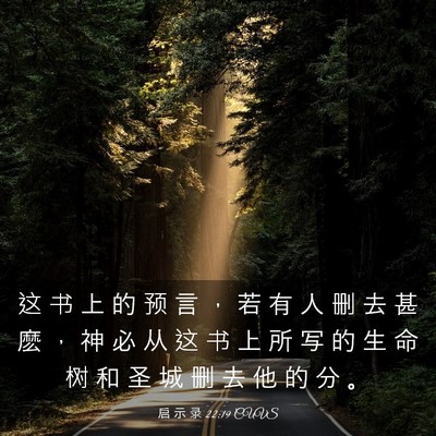 Picture 03 - 启 示 录 22:19 CUVS - 这 书 上 的 预 言 ， 若 有 人 删 去 - Bible Verse Picture