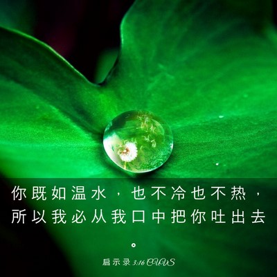 Picture 03 - 启 示 录 3:16 CUVS - 你 既 如 温 水 ， 也 不 冷 也 不 热 - Bible Verse Picture