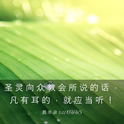 Picture 03 - 启 示 录 3:22 CUVS - 圣 灵 向 众 教 会 所 说 的 话 ， 凡 - Bible Verse Picture