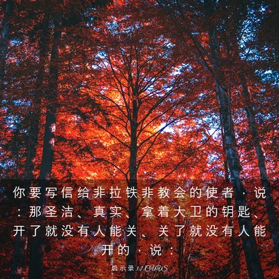 Picture 03 - 启 示 录 3:7 CUVS - 你 要 写 信 给 非 拉 铁 非 教 会 的 - Bible Verse Picture