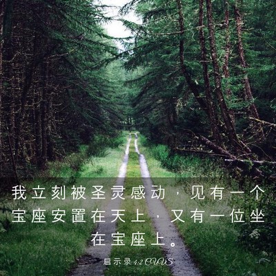 Picture 03 - 启 示 录 4:2 CUVS - 我 立 刻 被 圣 灵 感 动 ， 见 有 一 - Bible Verse Picture