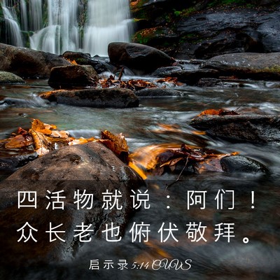 Picture 03 - 启 示 录 5:14 CUVS - 四 活 物 就 说 ： 阿 们 ！ 众 长 老 - Bible Verse Picture