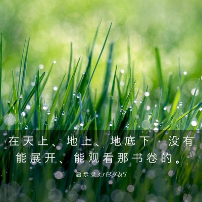 Picture 03 - 启 示 录 5:3 CUVS - 在 天 上 、 地 上 、 地 底 下 ， 没 - Bible Verse Picture
