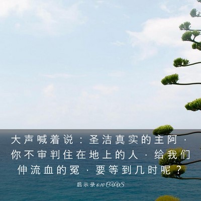 Picture 03 - 启 示 录 6:10 CUVS - 大 声 喊 着 说 ： 圣 洁 真 实 的 主 - Bible Verse Picture