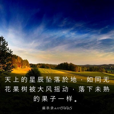 Picture 03 - 启 示 录 6:13 CUVS - 天 上 的 星 辰 坠 落 於 地 ， 如 同 - Bible Verse Picture