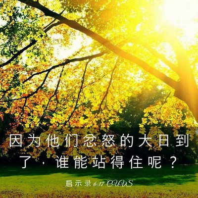 Picture 03 - 启 示 录 6:17 CUVS - 因 为 他 们 忿 怒 的 大 日 到 了 ， - Bible Verse Picture