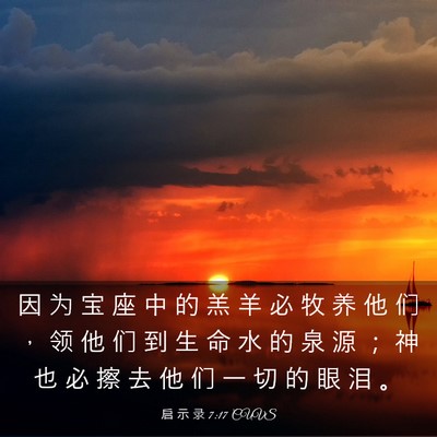 Picture 03 - 启 示 录 7:17 CUVS - 因 为 宝 座 中 的 羔 羊 必 牧 养 他 - Bible Verse Picture