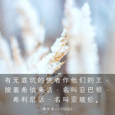 Picture 03 - 启 示 录 9:11 CUVS - 有 无 底 坑 的 使 者 作 他 们 的 王 - Bible Verse Picture