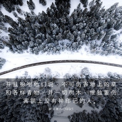 Picture 03 - 启 示 录 9:4 CUVS - 并 且 吩 咐 他 们 说 ， 不 可 伤 害 - Bible Verse Picture