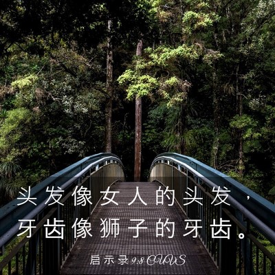 Picture 03 - 启 示 录 9:8 CUVS - 头 发 像 女 人 的 头 发 ， 牙 齿 像 - Bible Verse Picture