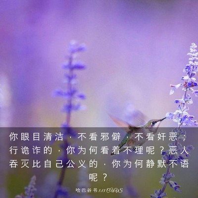 Picture 03 - 哈 巴 谷 书 1:13 CUVS - 你 眼 目 清 洁 ， 不 看 邪 僻 ， 不 - Bible Verse Picture
