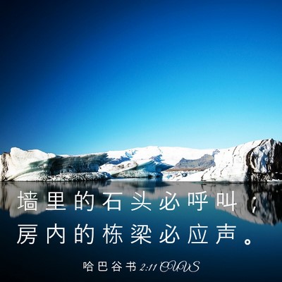 Picture 03 - 哈 巴 谷 书 2:11 CUVS - 墙 里 的 石 头 必 呼 叫 ； 房 内 的 - Bible Verse Picture
