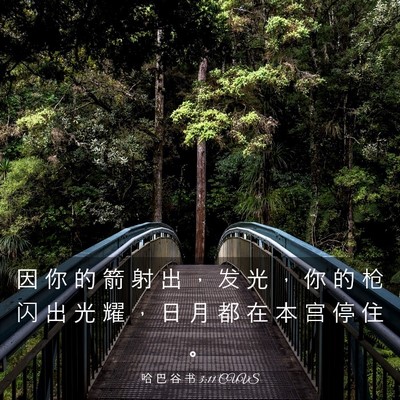 Picture 03 - 哈 巴 谷 书 3:11 CUVS - 因 你 的 箭 射 出 ， 发 光 ， 你 的 - Bible Verse Picture