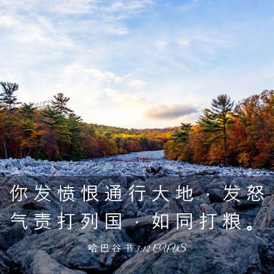 Picture 03 - 哈 巴 谷 书 3:12 CUVS - 你 发 愤 恨 通 行 大 地 ， 发 怒 气 - Bible Verse Picture