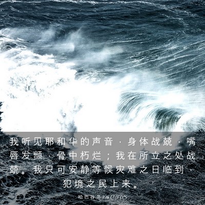 Picture 03 - 哈 巴 谷 书 3:16 CUVS - 我 听 见 耶 和 华 的 声 音 ， 身 体 - Bible Verse Picture