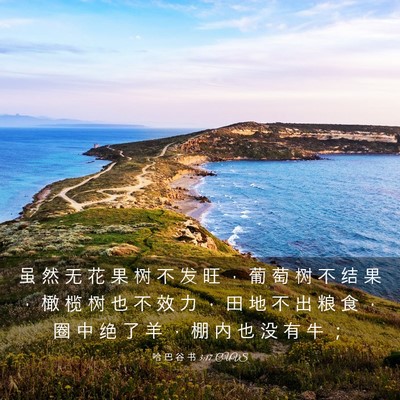Picture 03 - 哈 巴 谷 书 3:17 CUVS - 虽 然 无 花 果 树 不 发 旺 ， 葡 萄 - Bible Verse Picture