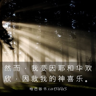 Picture 03 - 哈 巴 谷 书 3:18 CUVS - 然 而 ， 我 要 因 耶 和 华 欢 欣 ， - Bible Verse Picture
