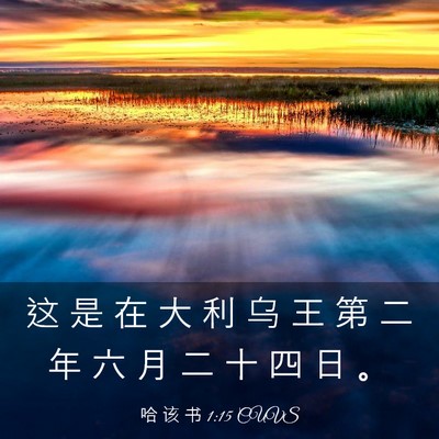 Picture 03 - 哈 该 书 1:15 CUVS - 这 是 在 大 利 乌 王 第 二 年 六 月 - Bible Verse Picture