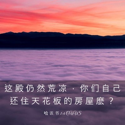 Picture 03 - 哈 该 书 1:4 CUVS - 这 殿 仍 然 荒 凉 ， 你 们 自 己 还 - Bible Verse Picture