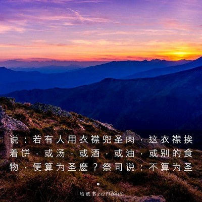 Picture 03 - 哈 该 书 2:12 CUVS - 说 ： 若 有 人 用 衣 襟 兜 圣 肉 ， - Bible Verse Picture