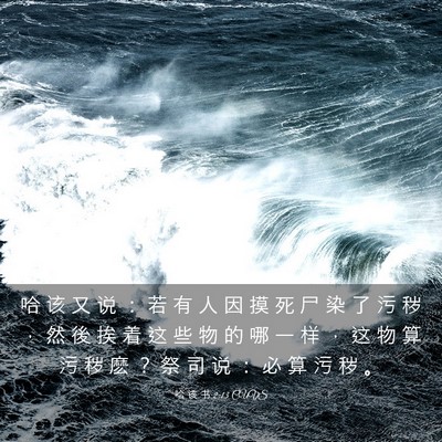 Picture 03 - 哈 该 书 2:13 CUVS - 哈 该 又 说 ： 若 有 人 因 摸 死 尸 - Bible Verse Picture