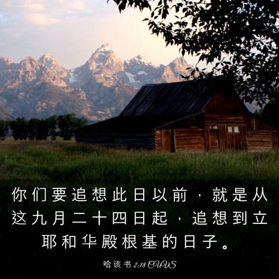Picture 03 - 哈 该 书 2:18 CUVS - 你 们 要 追 想 此 日 以 前 ， 就 是 - Bible Verse Picture