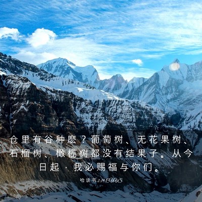 Picture 03 - 哈 该 书 2:19 CUVS - 仓 里 有 谷 种 麽 ？ 葡 萄 树 、 无 - Bible Verse Picture