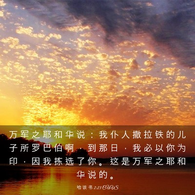 Picture 03 - 哈 该 书 2:23 CUVS - 万 军 之 耶 和 华 说 ： 我 仆 人 撒 - Bible Verse Picture