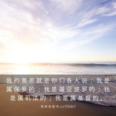 Picture 03 - 哥 林 多 前 书 1:12 CUVS - 我 的 意 思 就 是 你 们 各 人 说 ： - Bible Verse Picture