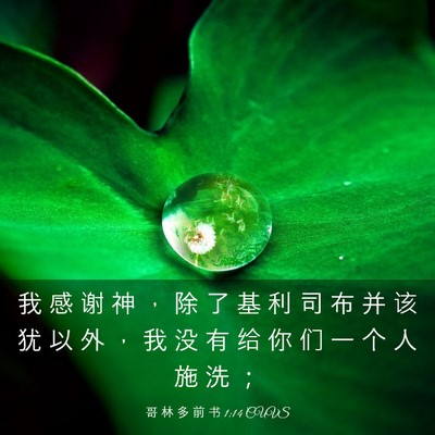 Picture 03 - 哥 林 多 前 书 1:14 CUVS - 我 感 谢 神 ， 除 了 基 利 司 布 并 - Bible Verse Picture