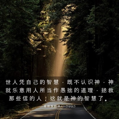 Picture 03 - 哥 林 多 前 书 1:21 CUVS - 世 人 凭 自 己 的 智 慧 ， 既 不 认 - Bible Verse Picture