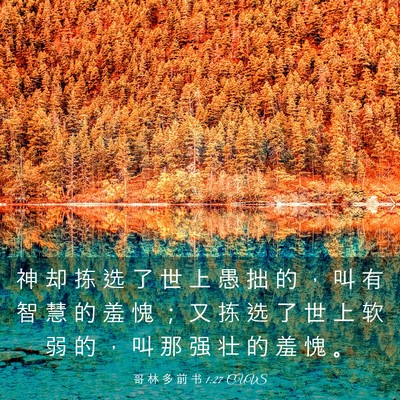 Picture 03 - 哥 林 多 前 书 1:27 CUVS - 神 却 拣 选 了 世 上 愚 拙 的 ， 叫 - Bible Verse Picture