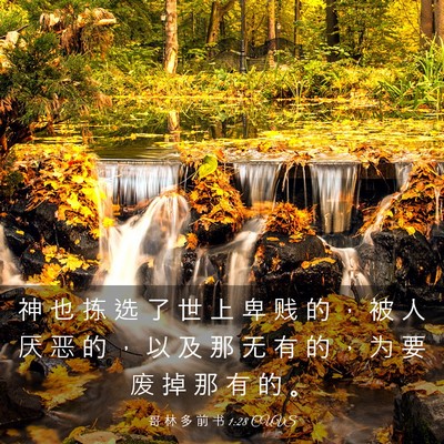 Picture 03 - 哥 林 多 前 书 1:28 CUVS - 神 也 拣 选 了 世 上 卑 贱 的 ， 被 - Bible Verse Picture