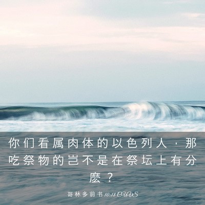 Picture 03 - 哥 林 多 前 书 10:18 CUVS - 你 们 看 属 肉 体 的 以 色 列 人 ， - Bible Verse Picture