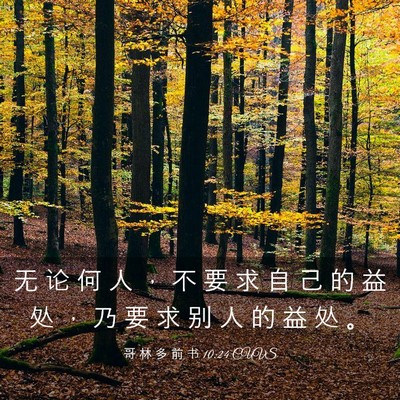 Picture 03 - 哥 林 多 前 书 10:24 CUVS - 无 论 何 人 ， 不 要 求 自 己 的 益 - Bible Verse Picture