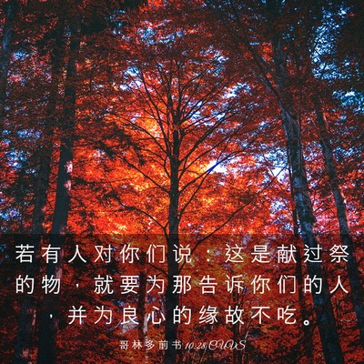 Picture 03 - 哥 林 多 前 书 10:28 CUVS - 若 有 人 对 你 们 说 ： 这 是 献 过 - Bible Verse Picture