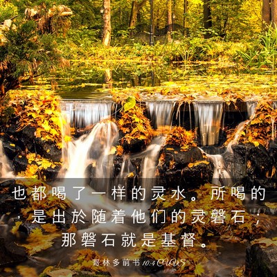 Picture 03 - 哥 林 多 前 书 10:4 CUVS - 也 都 喝 了 一 样 的 灵 水 。 所 喝 - Bible Verse Picture