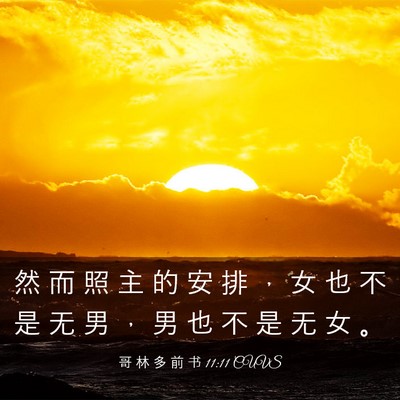 Picture 03 - 哥 林 多 前 书 11:11 CUVS - 然 而 照 主 的 安 排 ， 女 也 不 是 - Bible Verse Picture