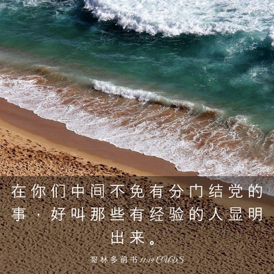 Picture 03 - 哥 林 多 前 书 11:19 CUVS - 在 你 们 中 间 不 免 有 分 门 结 党 - Bible Verse Picture