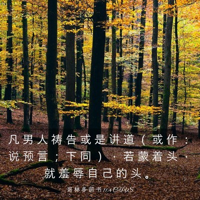 Picture 03 - 哥 林 多 前 书 11:4 CUVS - 凡 男 人 祷 告 或 是 讲 道 （ 或 作 - Bible Verse Picture
